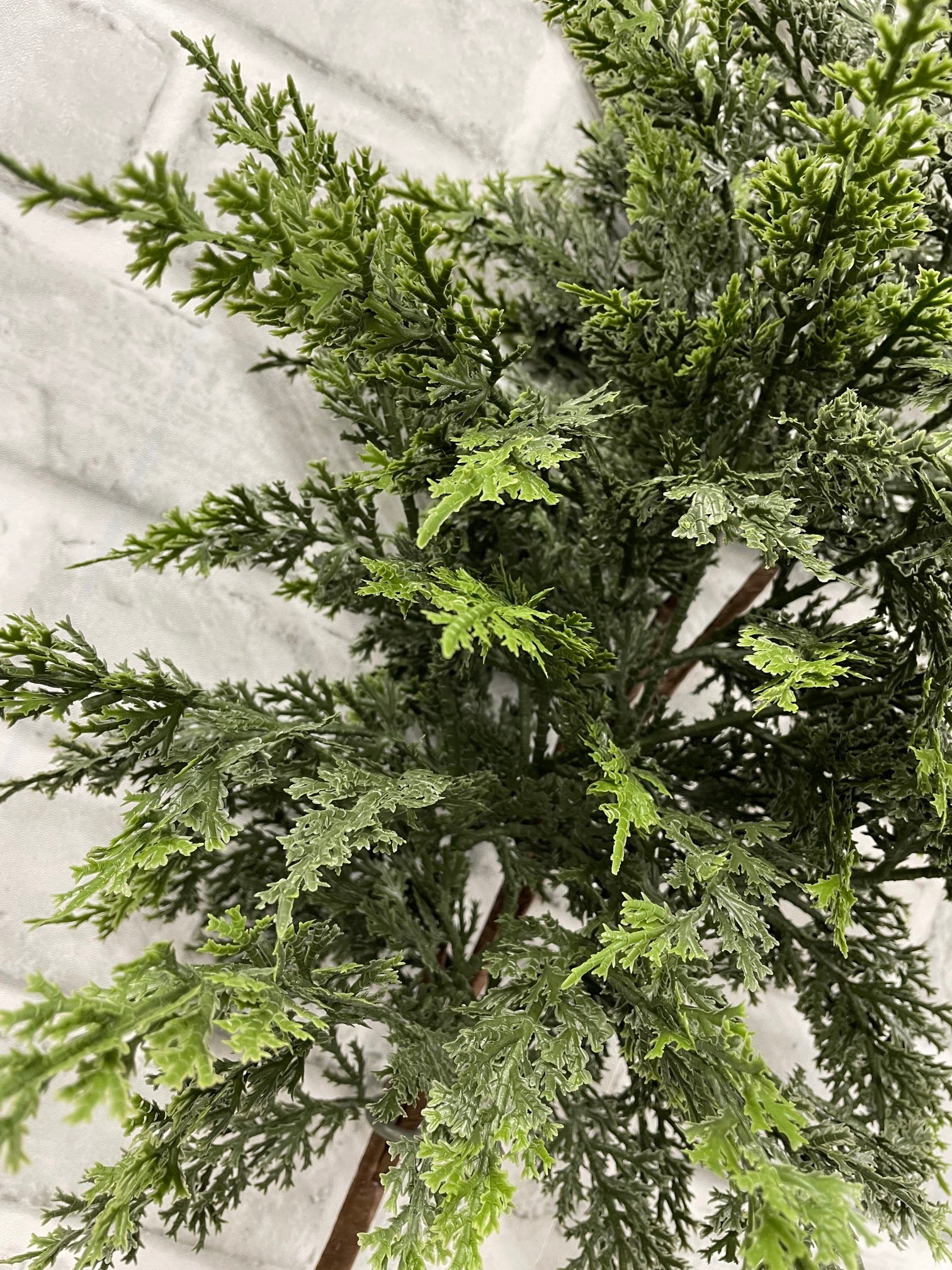 ITEM 82122 - 30"  FRESH TOUCH EASTERN RED CEDAR BRANCH