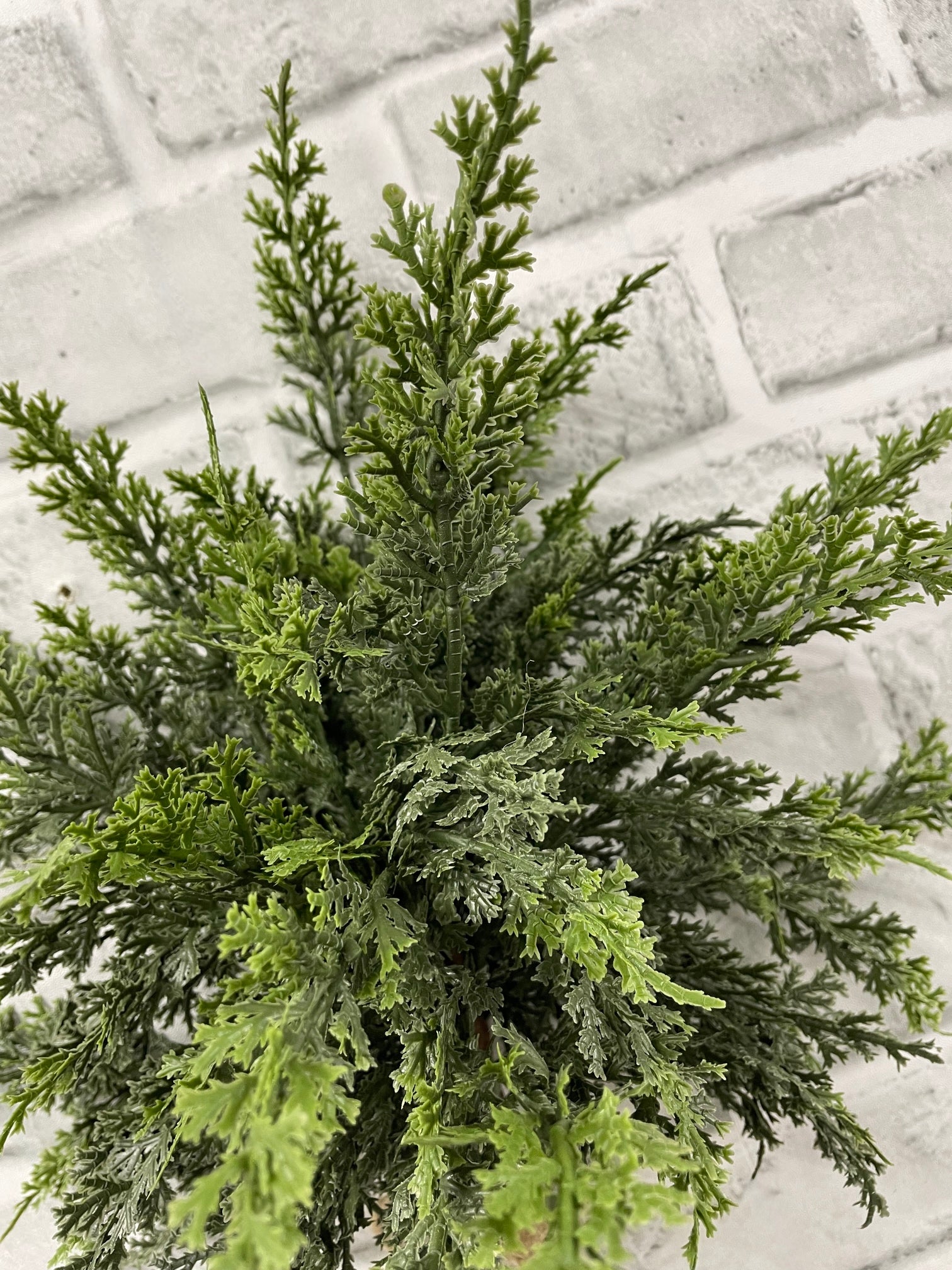 ITEM 82123 - 18" FRESH TOUCH EASTERN RED CEDAR BUNDLE WITH 3 STEMS