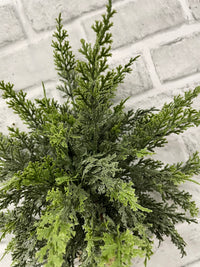 ITEM 82123 - 18" FRESH TOUCH EASTERN RED CEDAR BUNDLE WITH 3 STEMS