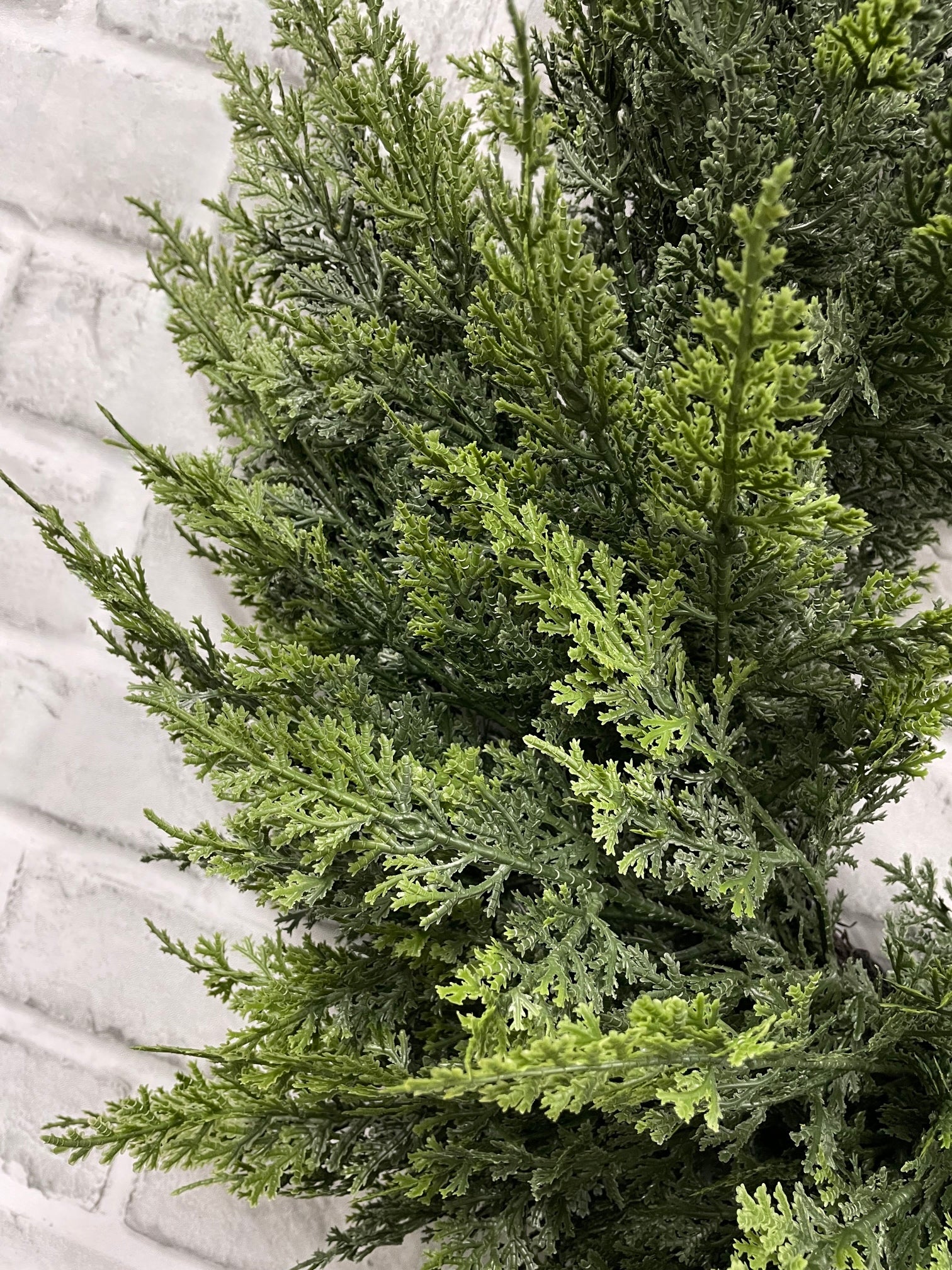 ITEM 82129 - 9" INSIDE DIM, 24" OUTSIDE DIM FRESH TOUCH EASTERN RED CEDAR WREATH