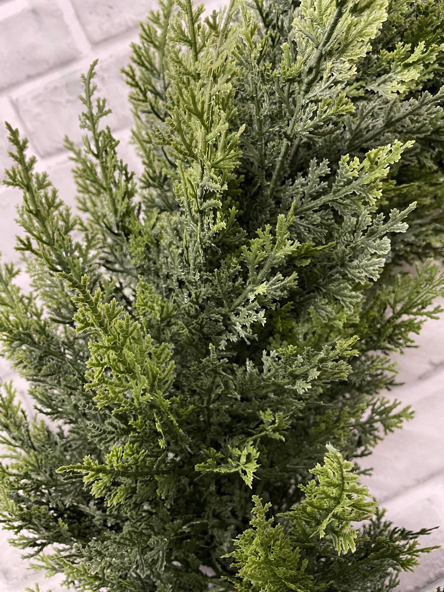 ITEM 82130 - 15" INSDIE DIM, 29" OUTSIDE DIM FRESH TOUCH EASTERN RED CEDAR WREATH