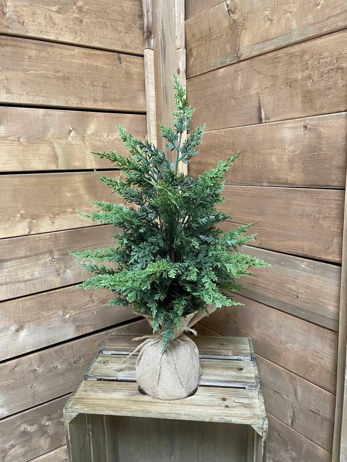 ITEM 82133 - 22" FRESH TOUCH EASTERN RED CEDAR TREE WITH BURLAP BASE