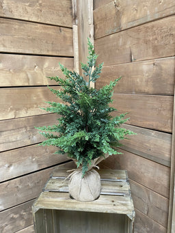 ITEM 82133 - 22" FRESH TOUCH EASTERN RED CEDAR TREE WITH BURLAP BASE