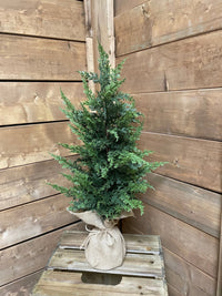 ITEM 82134 - 26" FRESH TOUCH EASTERN RED CEDAR POTTED IN BURLAP