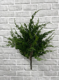 ITEM 82163 - 23.5" FRESH TOUCH ROCKY MOUNTAIN JUNIPER BUSH