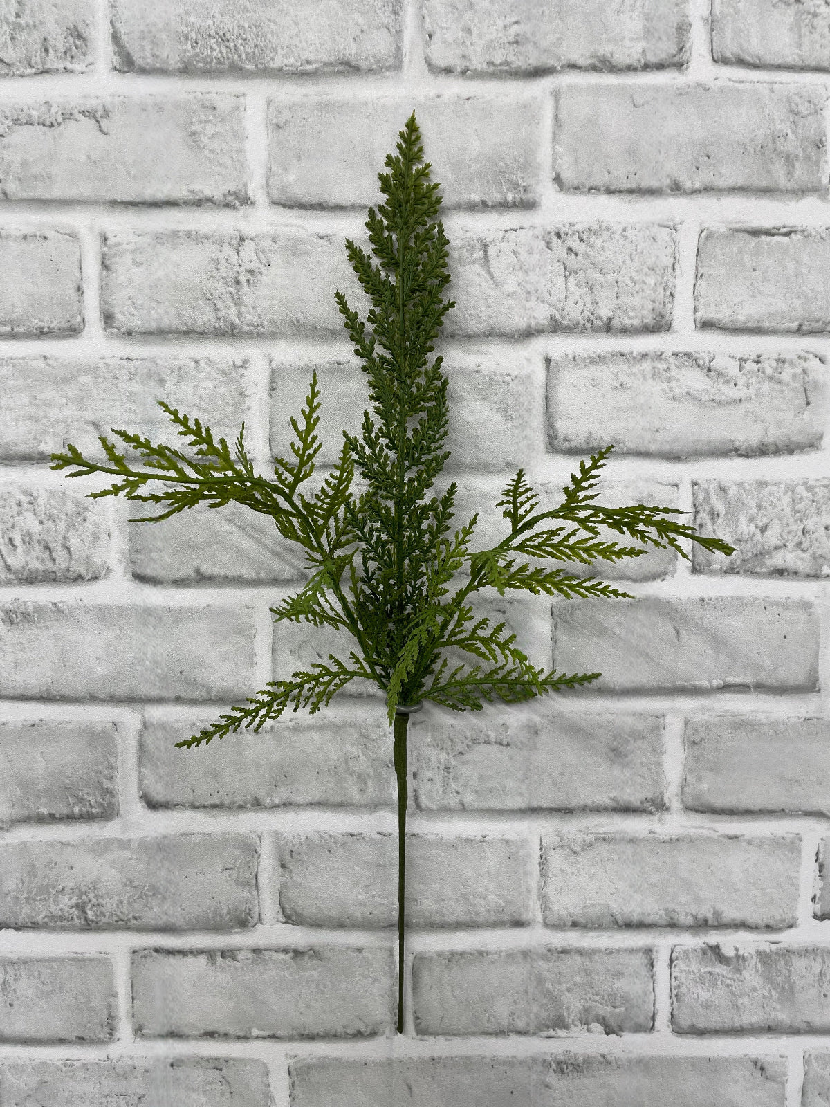 ITEM 82181 - 18" FRESH TOUCH CYPRESS SPRAY