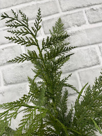 ITEM 82182 - 33" FRESH TOUCH CYPRESS SPRAY