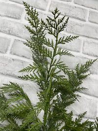 ITEM 82183 - 40" FRESH TOUCH CYPRESS SPRAY