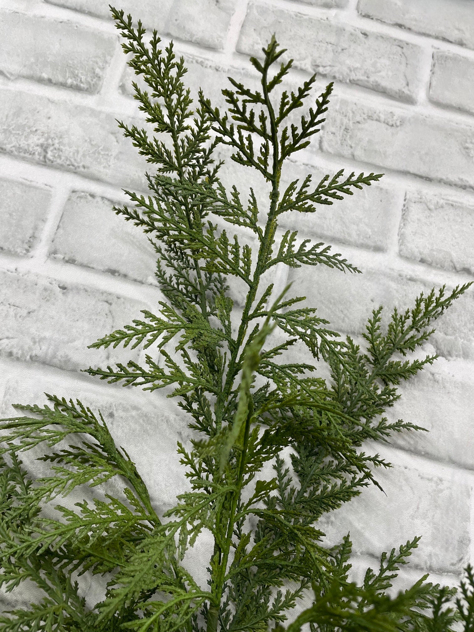 ITEM 82183 - 40" FRESH TOUCH CYPRESS SPRAY