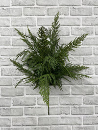 ITEM 82184 - 24"' FRESH TOUCH CYPRESS BUSH