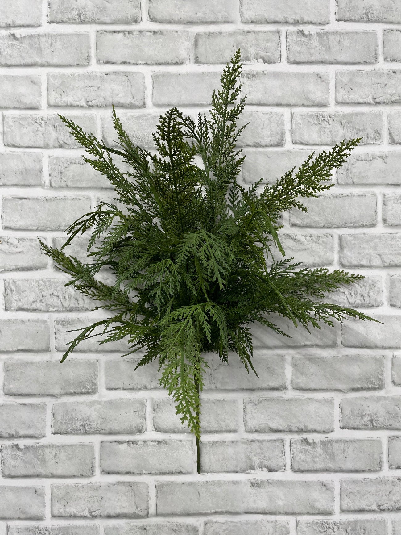 ITEM 82184 - 24"' FRESH TOUCH CYPRESS BUSH