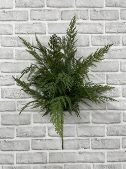 ITEM 82184 - 24"' FRESH TOUCH CYPRESS BUSH