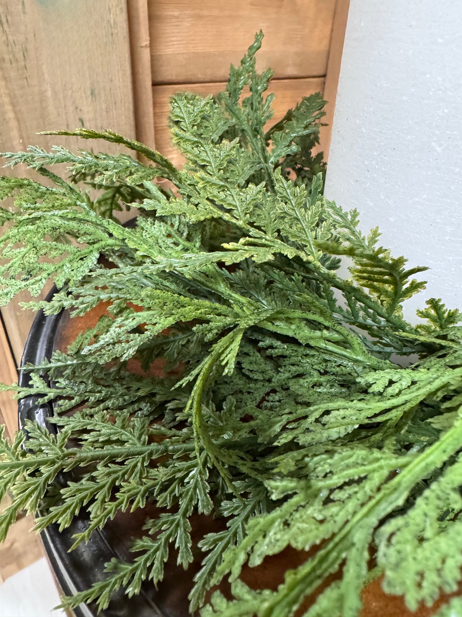 ITEM 82185 - 3.5" INSIDE DIM, 11" OUTSIDE DIM FRESH TOUCH CYPRESS CANDLE RING