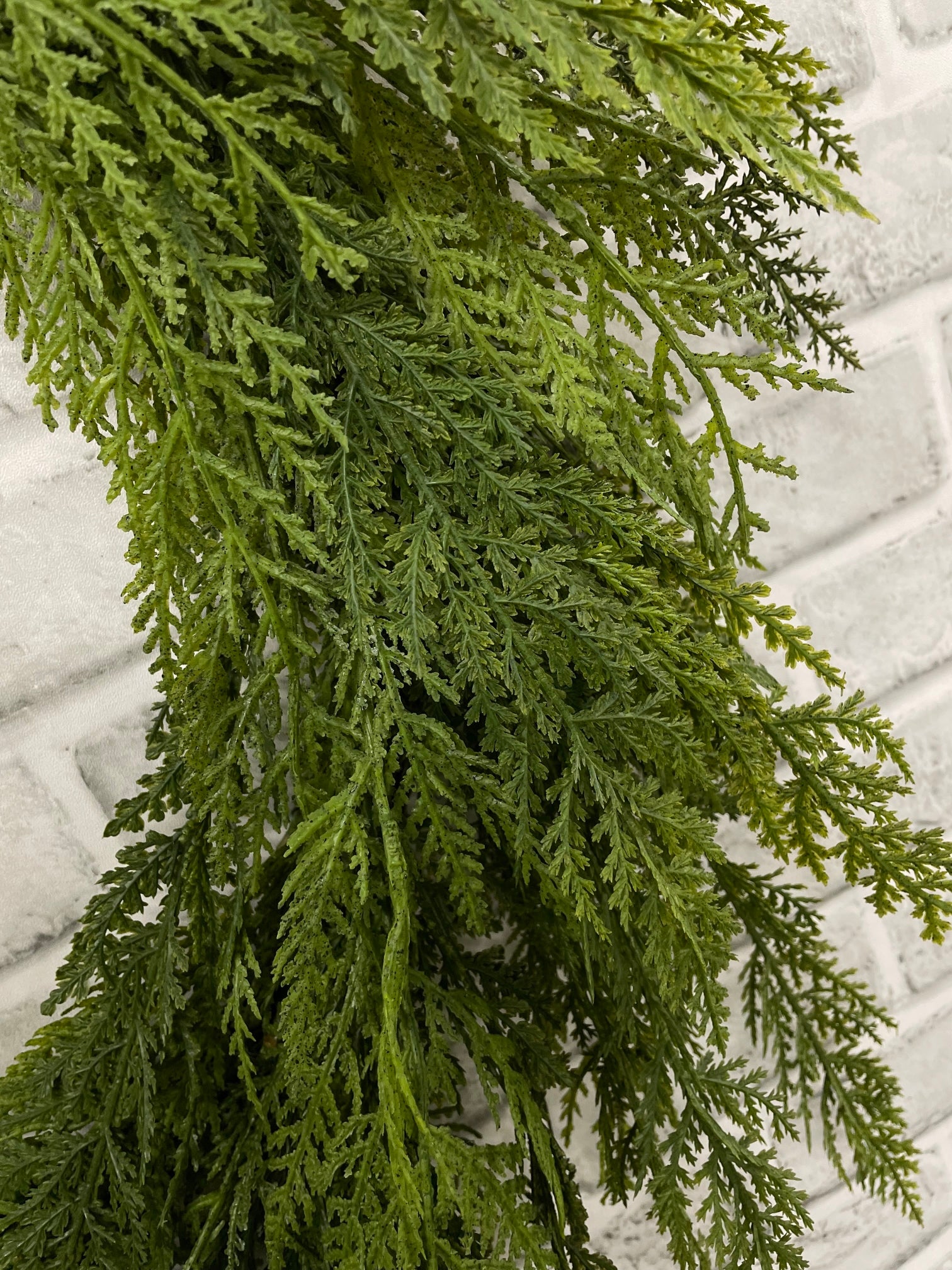 ITEM 82187 - 12" INSIDE DIM, 24" OUTSIDE DIM LUSH FRESH TOUCH CYPRESS WREATH