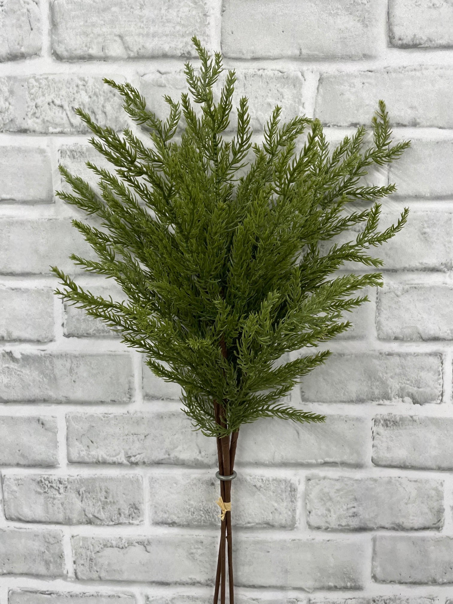 ITEM 82190 - 24” MONTEREY CYPRESS BUNDLE X3