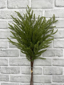 ITEM 82190 - 24” MONTEREY CYPRESS BUNDLE X3