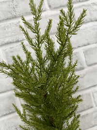 ITEM 82191 - 34" MONTEREY CYPRESS SPRAY