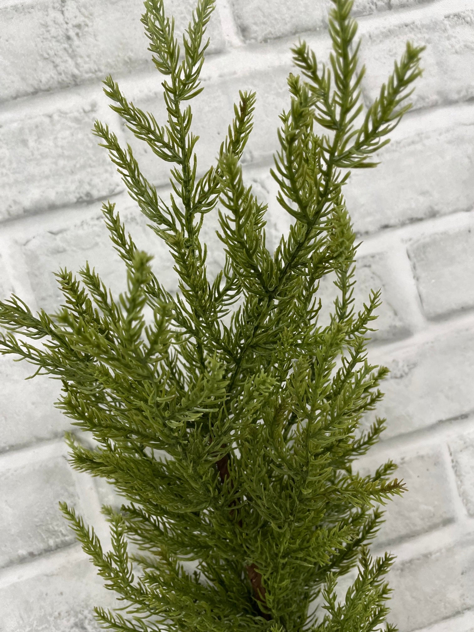 ITEM 82191 - 34" MONTEREY CYPRESS SPRAY