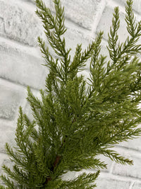 ITEM 82191 - 34" MONTEREY CYPRESS SPRAY
