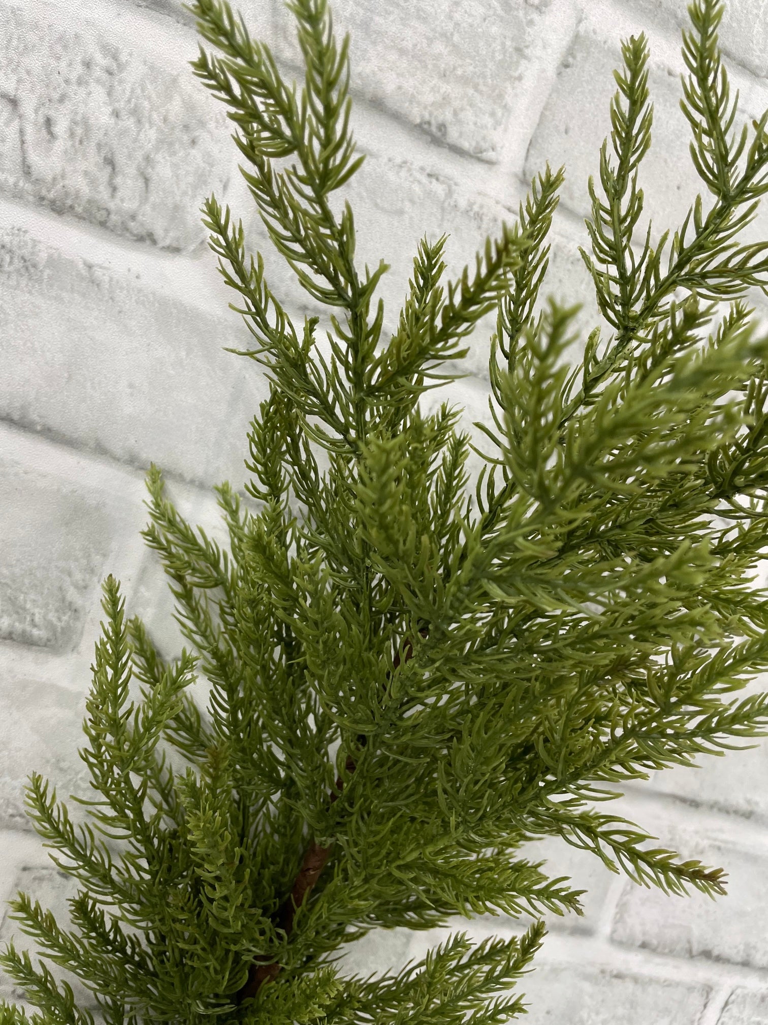 ITEM 82191 - 34" MONTEREY CYPRESS SPRAY