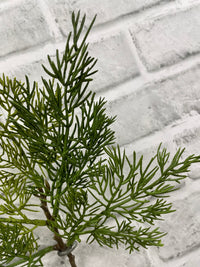 ITEM 82195 - 12" FRESH TOUCH WESTERN RED CEDAR PICK ( 12 PCS TO A POLYBAG)