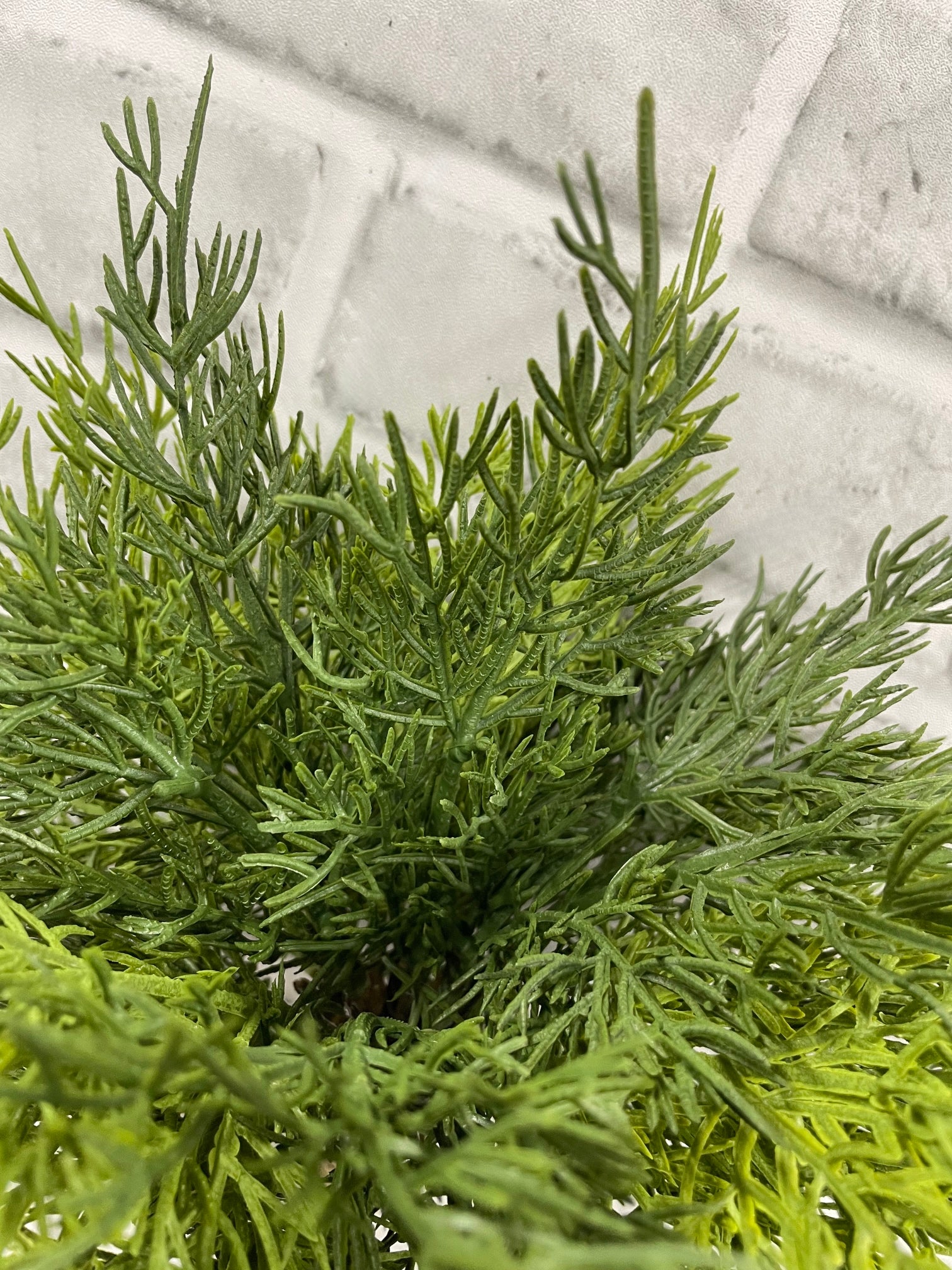 ITEM 82196 - 12" FRESH TOUCH WESTERM RED CEDAR PICK BUNDLE X 9