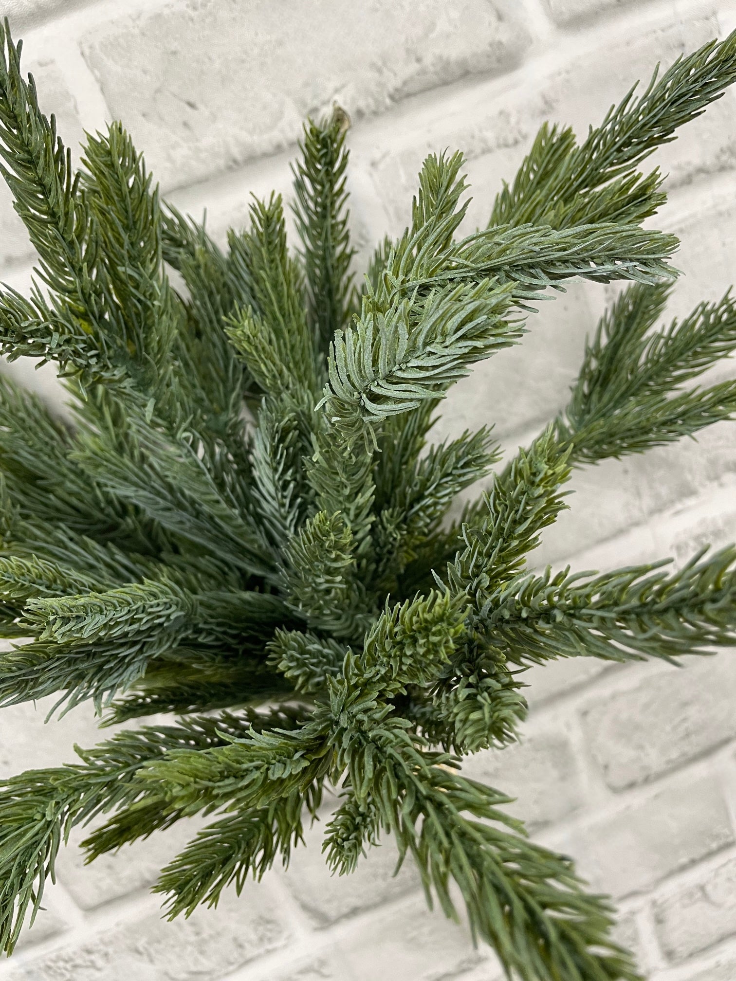 ITEM 82203 - 15" FRESH TOUCH BLUE SPRUCE BUNDLE