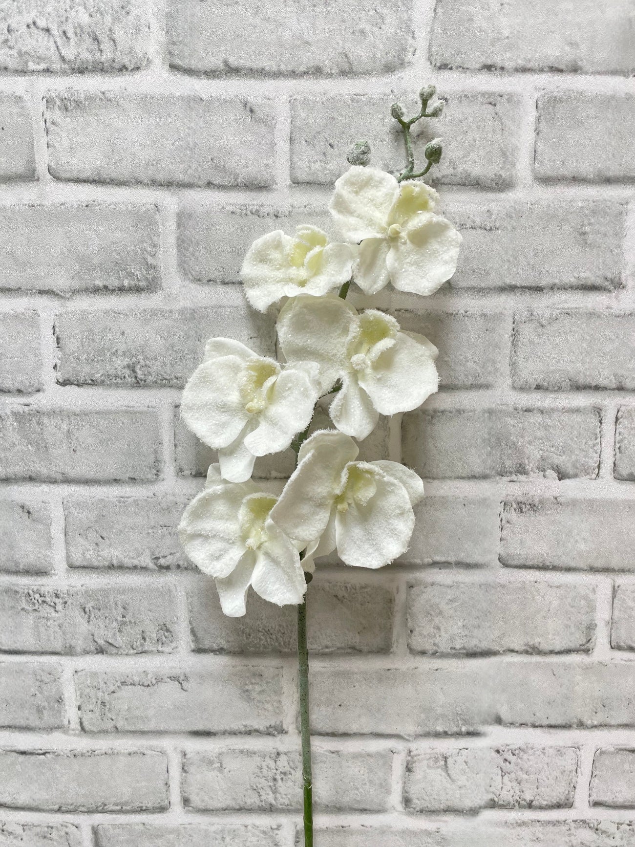 ITEM 82232 - 31" SNOWY PHALAENOPSIS ORCHID SPRAY