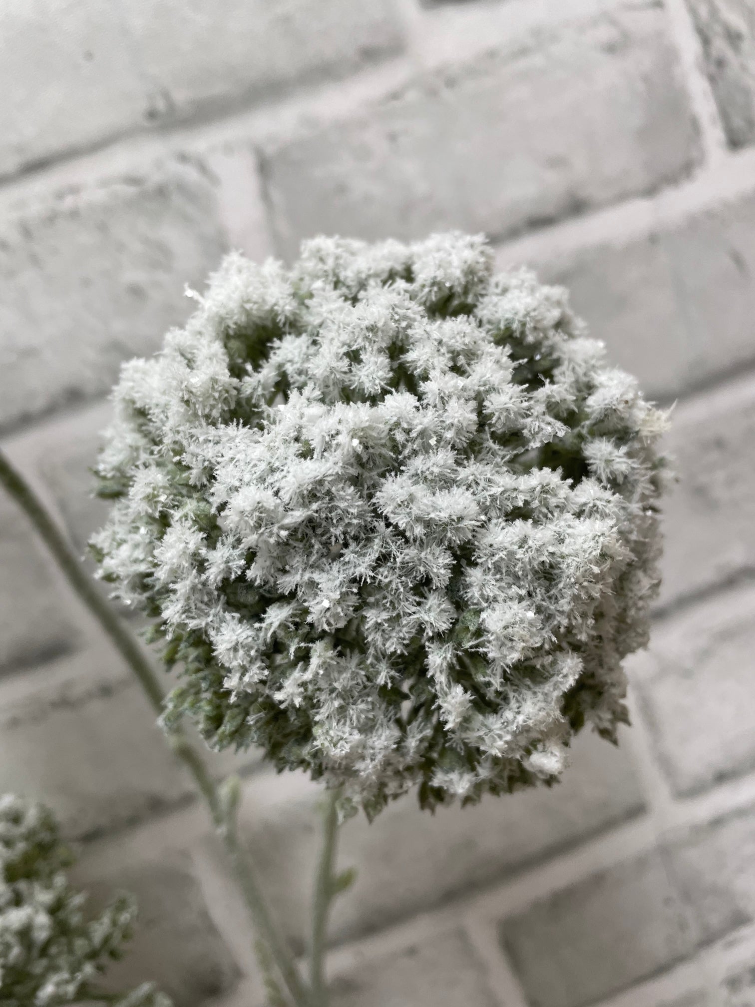 ITEM 82235 GR - 31" GREEN SNOWY GLITTERED  ALLIUM SPRAY WITH 3 HEADS
