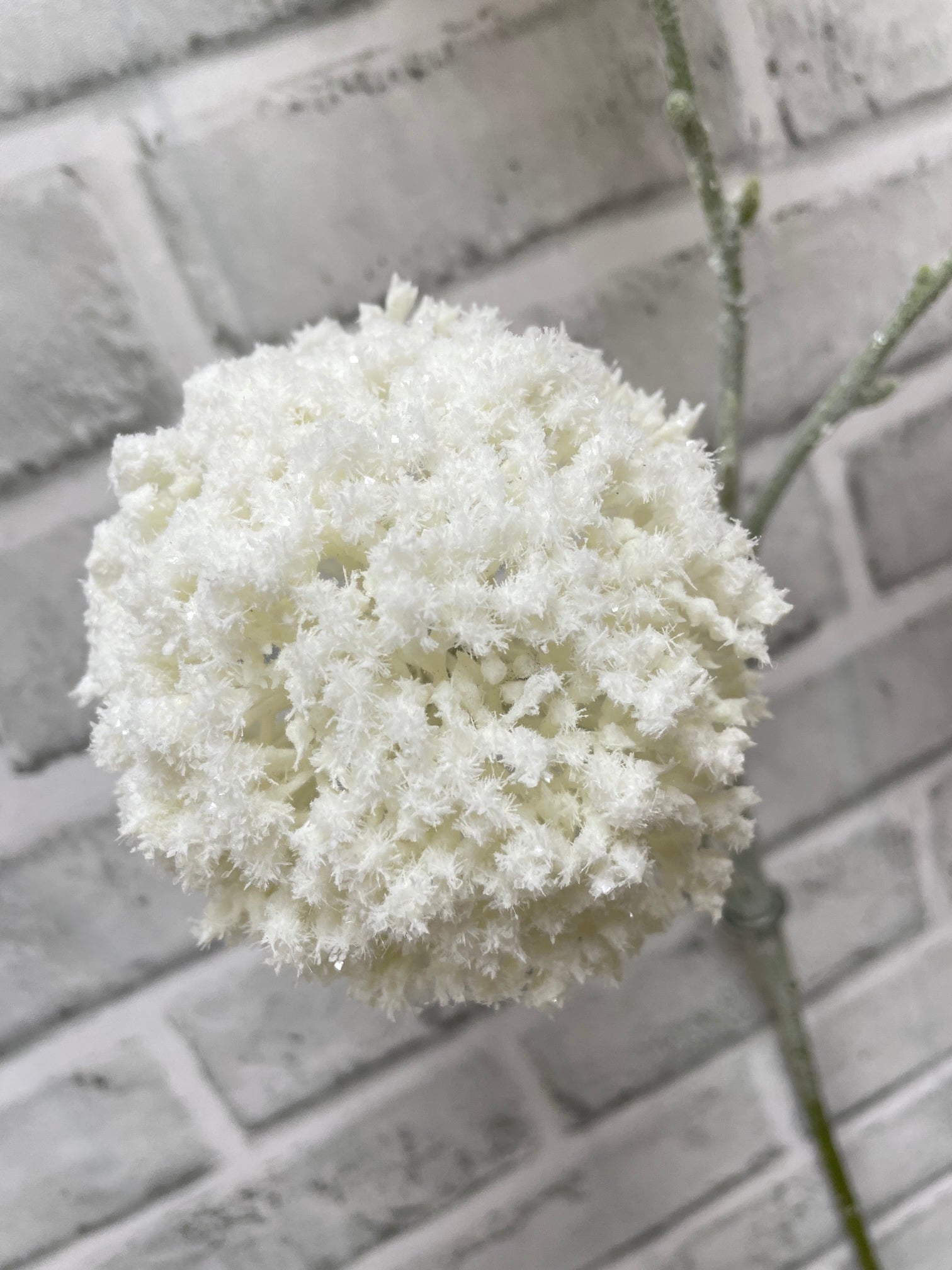 ITEM 82235 W - 31" WHITE SNOWY GLITTERED  ALLIUM SPRAY WITH 3 HEADS