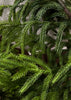 ITEM 81660 - 30" FRESH TOUCH NORFOLK PINE WREATH ON NATURAL FRAME