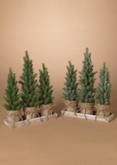 ITEM G2731350 - 15.5"H HOLIDAY POTTED TREE SET WITH TRAY