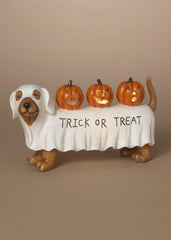 ITEM G2800740  - 11"L B/O LIGHTED RESIN HALLOWEEN DOG W/ PUMPKINS & TIMER