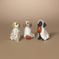 ITEM G2851360 - 4.75"H RESIN HALLOWEEN DOG - 3 ASSORTED
