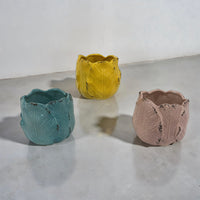 ITEM KOP 56409 - 5.5" X 4.75" TULIP PLANTER - 3 ASSORTED COLOURS