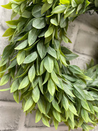 ITEM 11601 - 6.25" INSDIE DIM, 13" OUTSIDE DIM RUSCUS WREATH