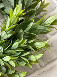 ITEM 11601 - 6.25" INSDIE DIM, 13" OUTSIDE DIM RUSCUS WREATH