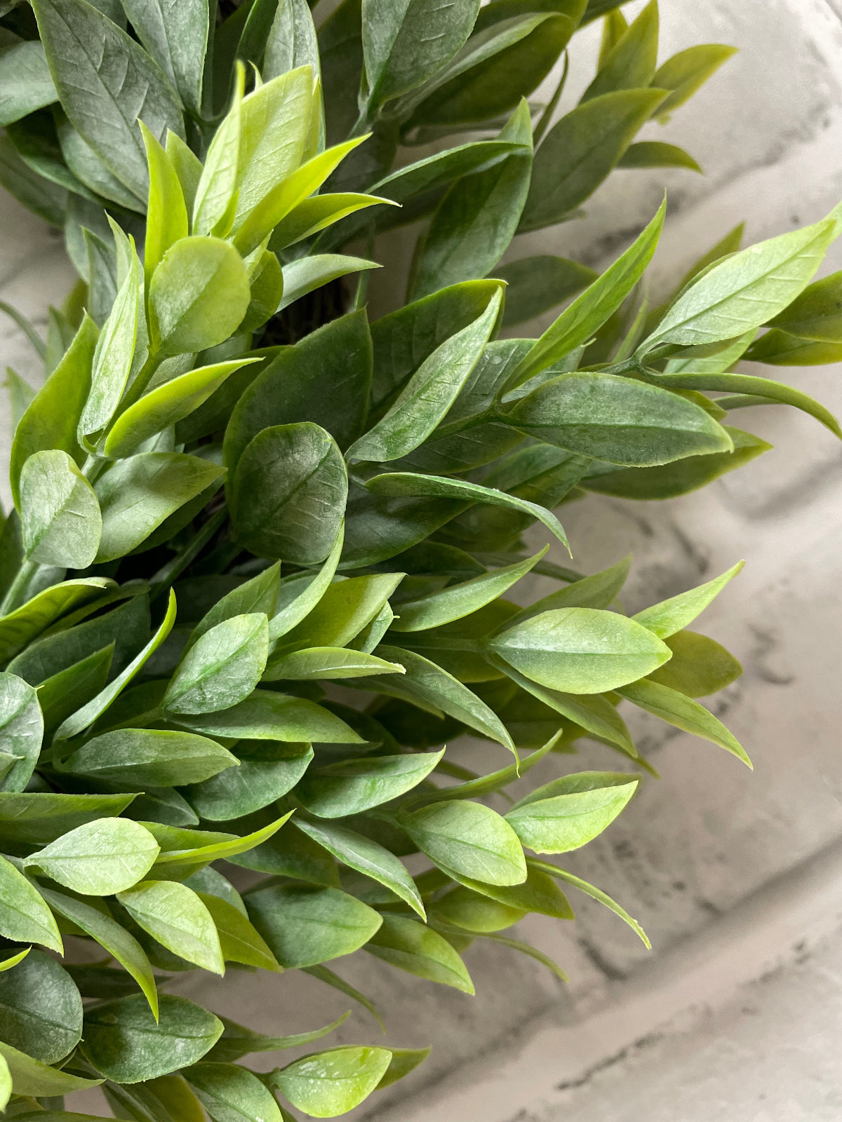 ITEM 11601 - 6.25" INSDIE DIM, 13" OUTSIDE DIM RUSCUS WREATH