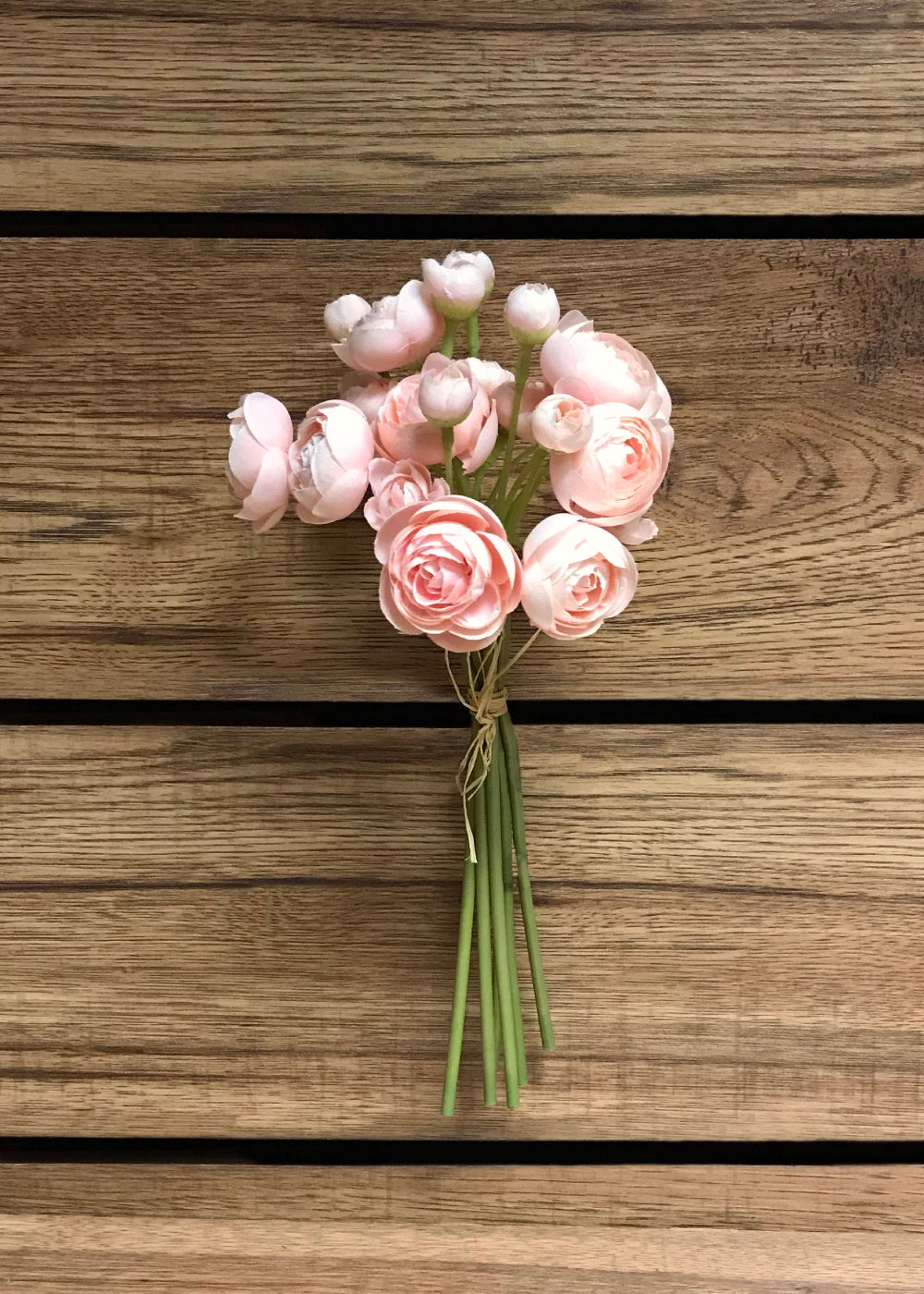 ITEM 00972 BLUSH - 11" BLUSH RANUNCULUS - 6 STEMS PER BUNDLE