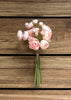 ITEM 00972 BLUSH - 11" BLUSH RANUNCULUS - 6 STEMS PER BUNDLE