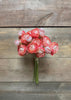 ITEM 00972 PINK - 11" PINK RANUNCULUS - 6 STEMS PER BUNDLE