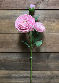 ITEM 00983 PK - 24" PINK FRESH TOUCH RANUNCULUS SPRAY