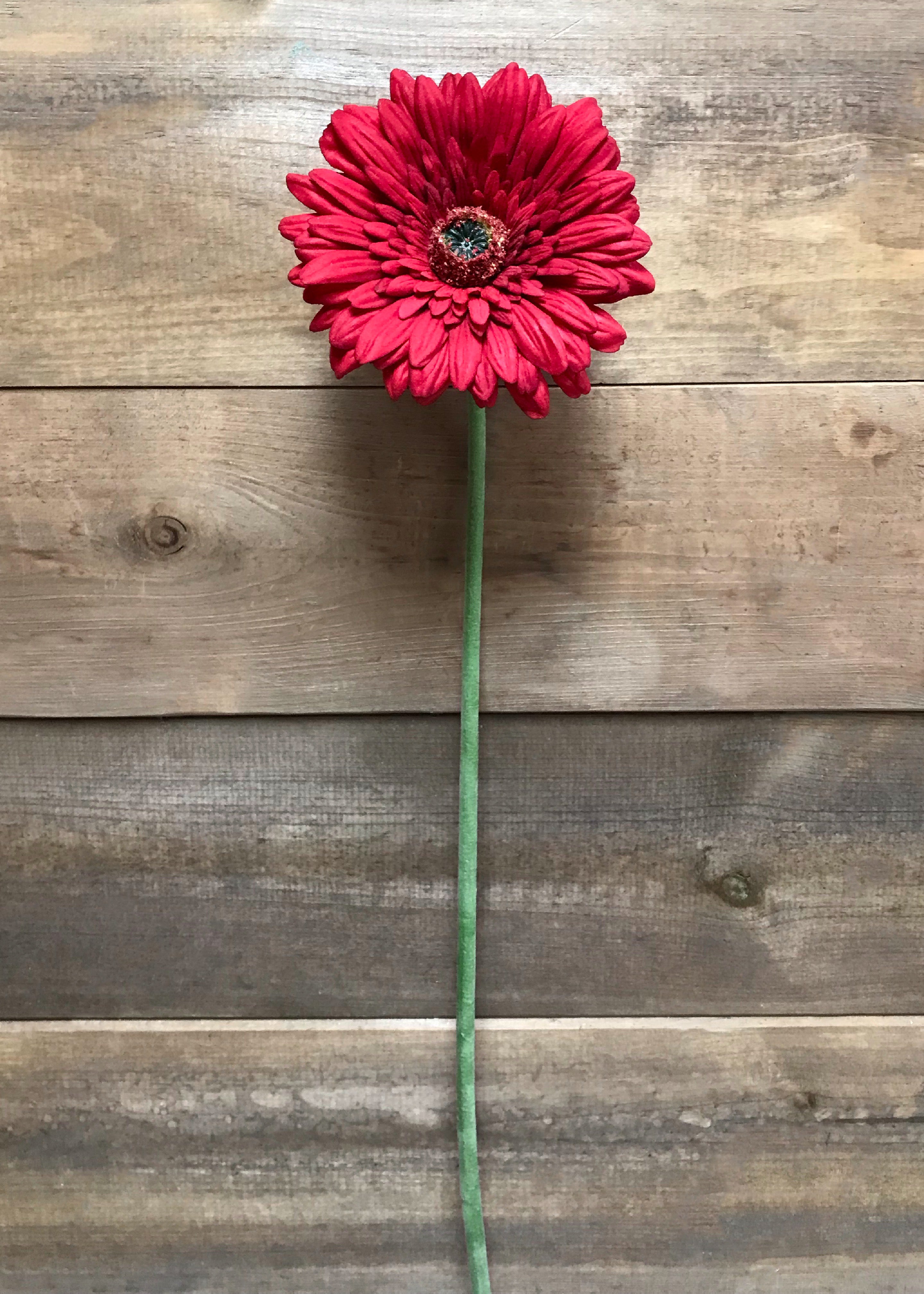 ITEM 00984 RED - 25" RED FRESH TOUCH SINGLE GERBERA STEM