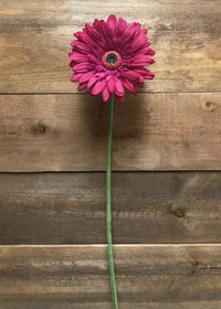 ITEM 00984 ROSE - 25" ROSE FRESH TOUCH SINGLE GERBERA STEM