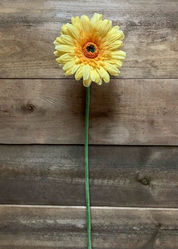 ITEM 00984 Y - 25" YELLOW FRESH TOUCH SINGLE GERBERA STEM