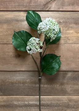 ITEM 00988 W - 28" WHITE PATRINIA SPRAY