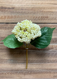 ITEM 10169 CM - 10" CREAM SEEDED HYDRANGEA STEM