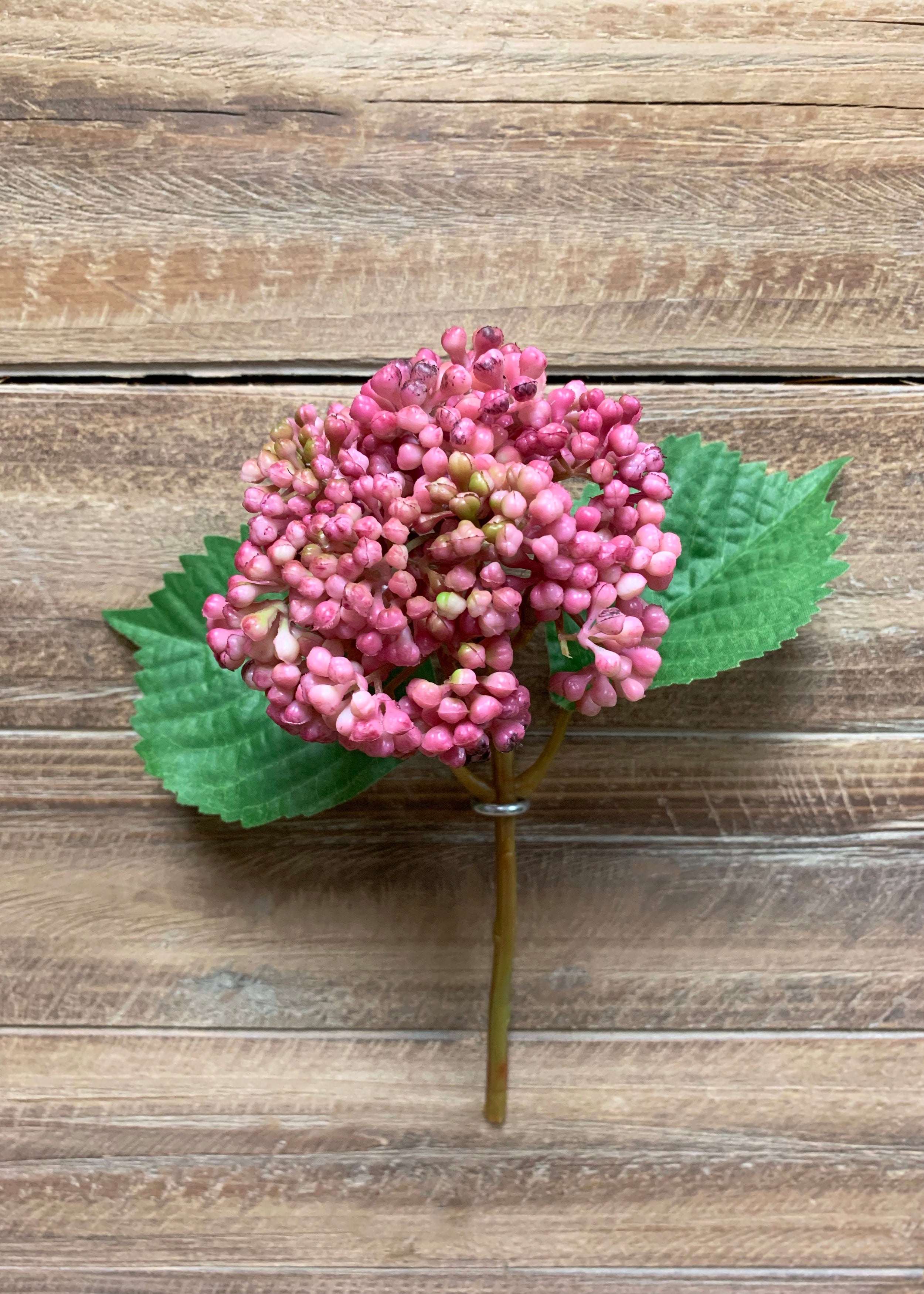 ITEM 10169 ROSE - 10" ROSE SEEDED HYDRANGEA STEM