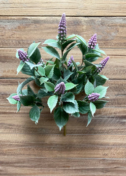 ITEM 10173MV -  15" MAUVE HYACINTH BUSH WITH 9 STEMS