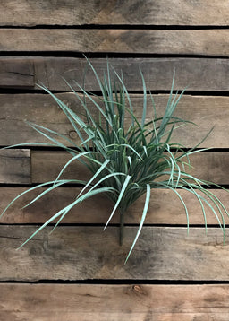 ITEM 11217 GR - 20" GRASS BUSH